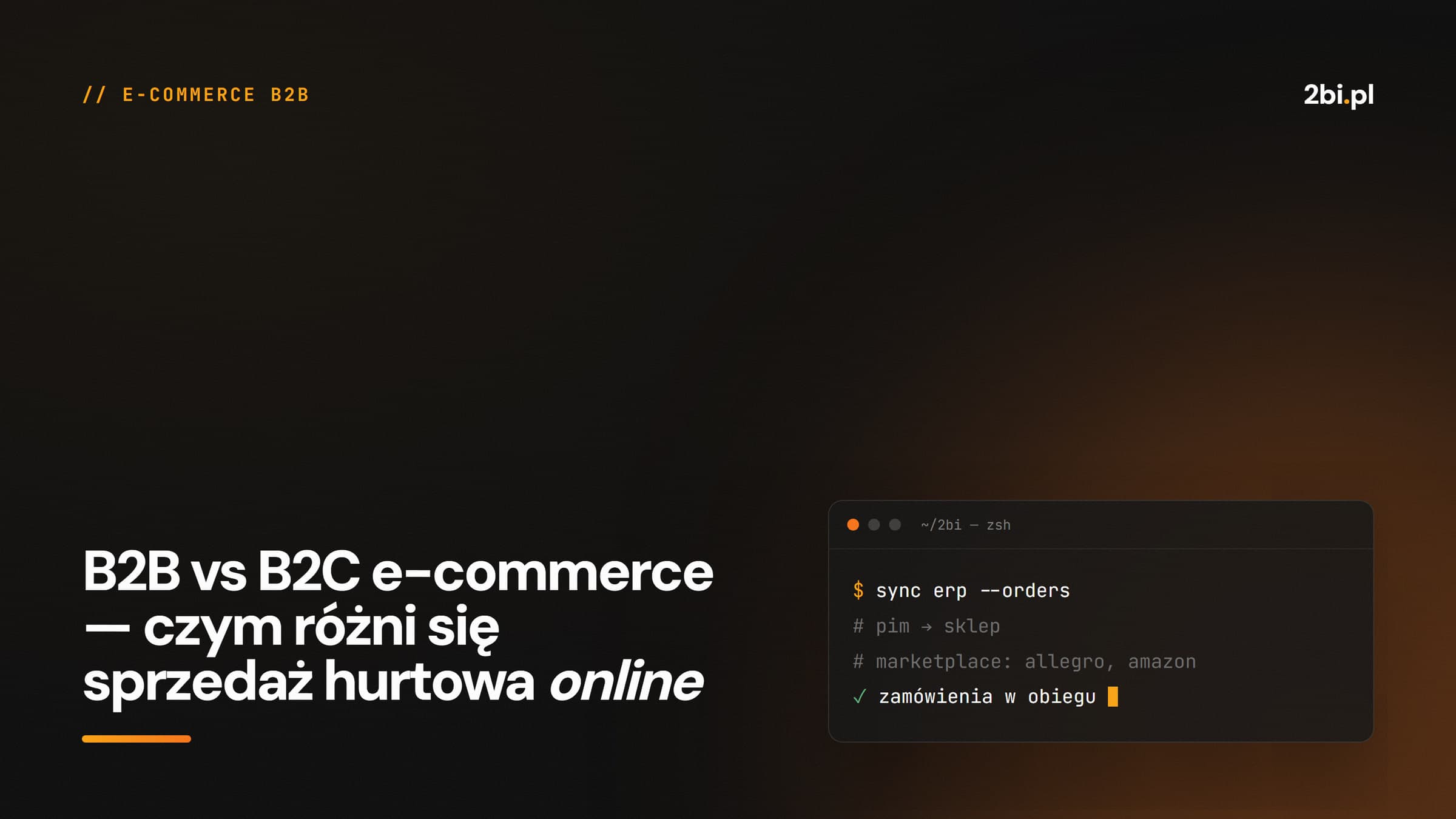 Okładka wpisu „B2B vs B2C e-commerce — czym różni się sprzedaż hurtowa online” na blogu 2bi.pl