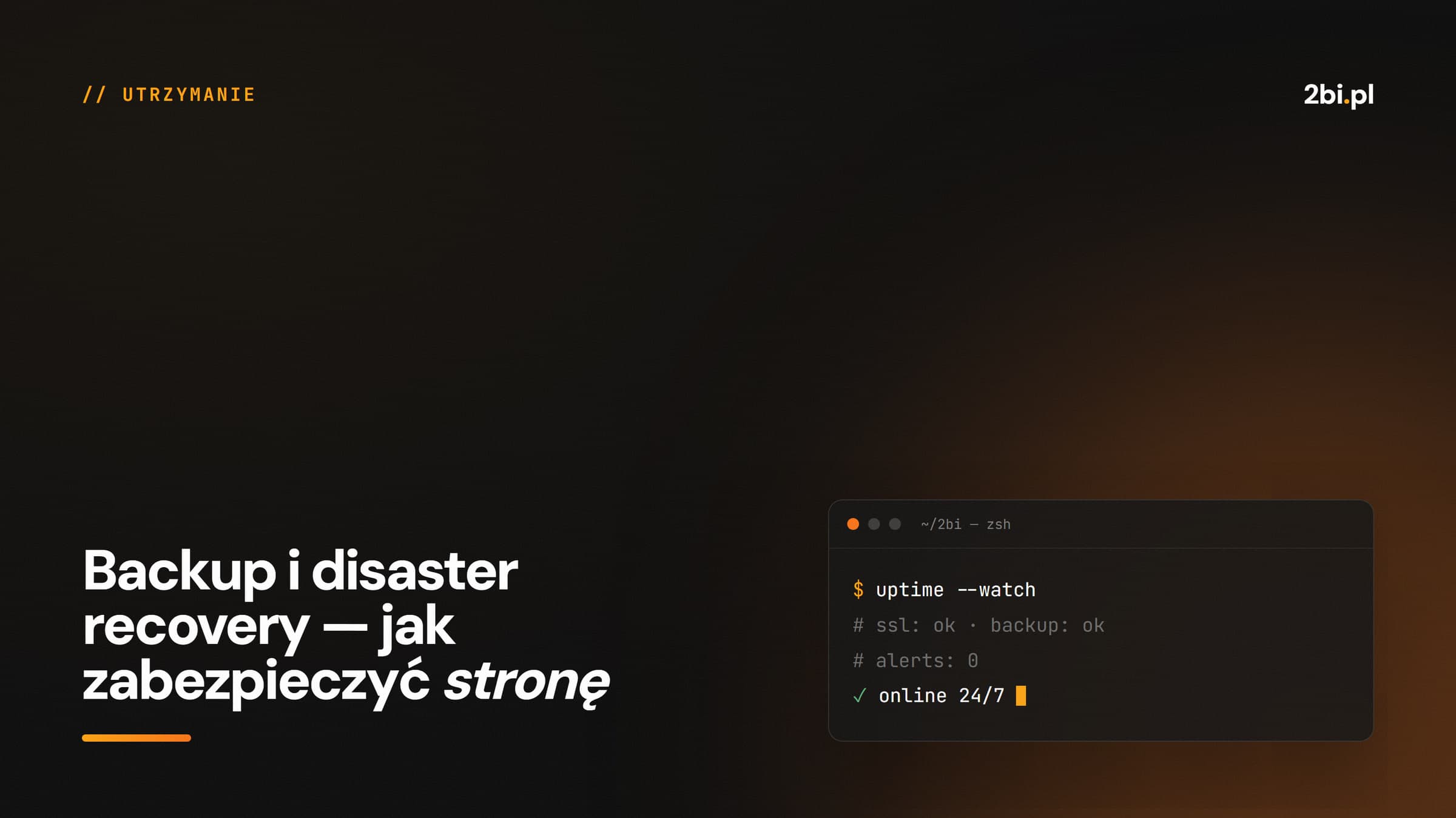 Okładka wpisu „Backup i disaster recovery — jak zabezpieczyć stronę” na blogu 2bi.pl