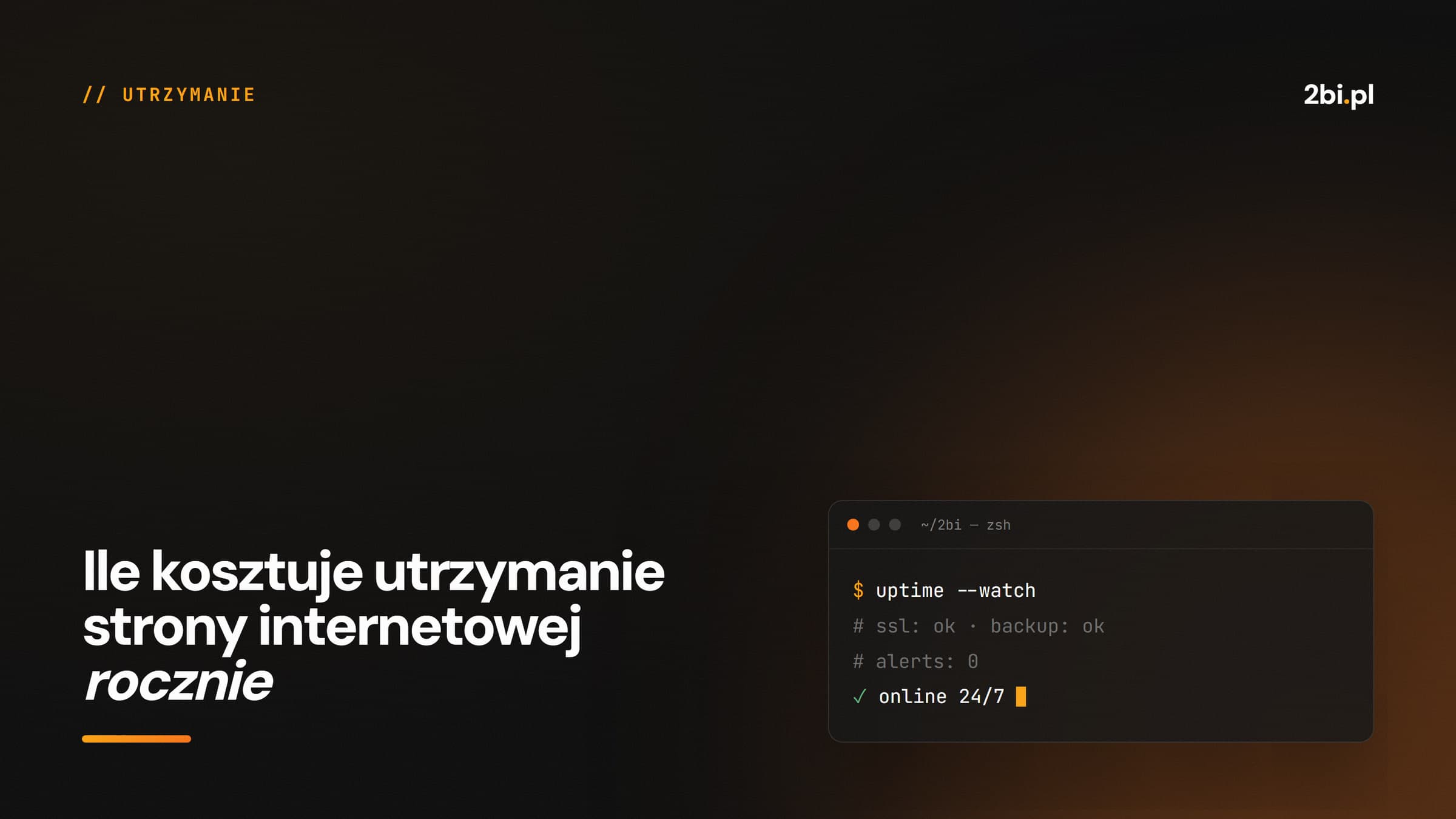 Okładka wpisu „Ile kosztuje utrzymanie strony internetowej rocznie” na blogu 2bi.pl