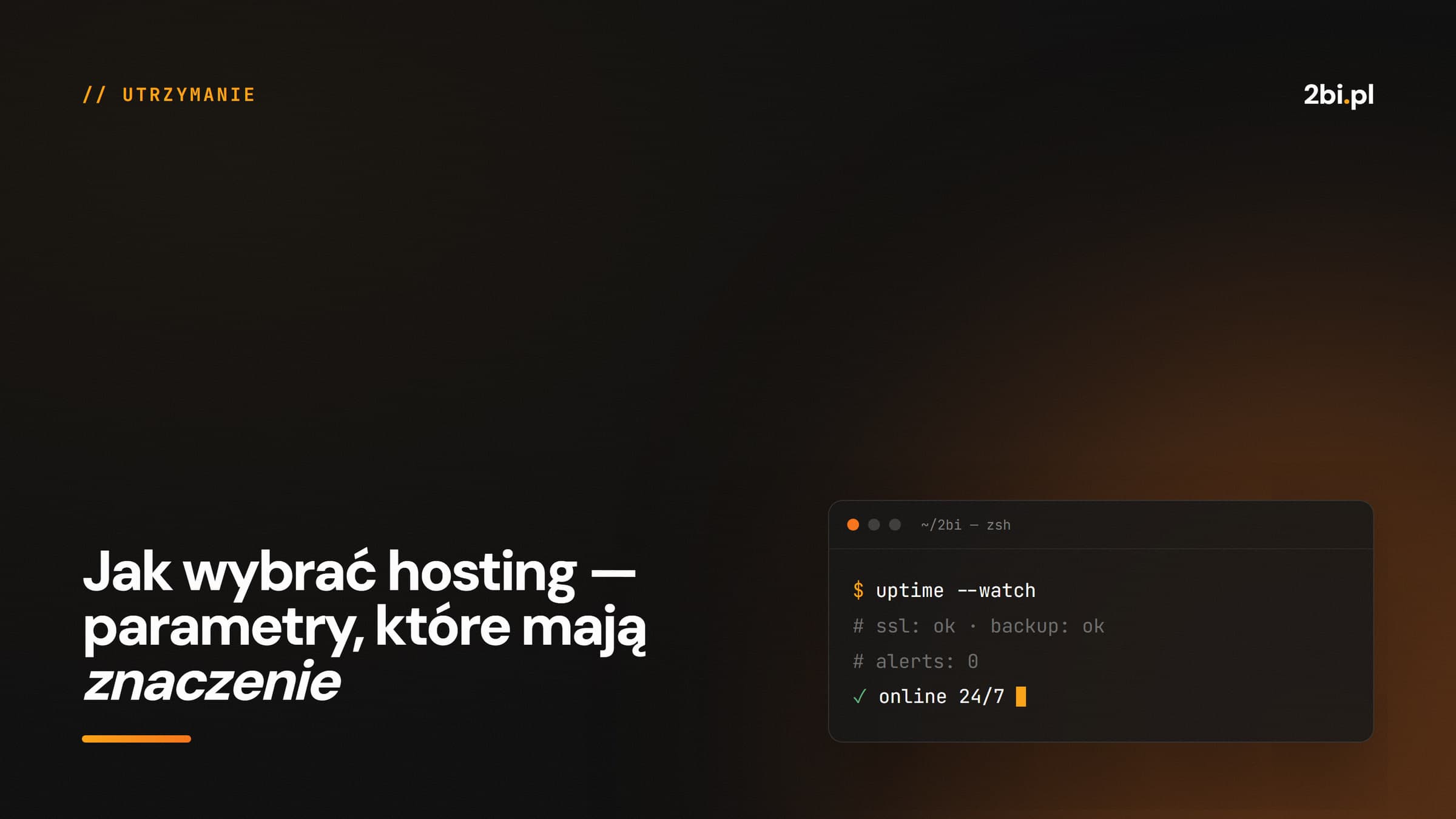 Okładka wpisu „Jak wybrać hosting — parametry, które mają znaczenie” na blogu 2bi.pl